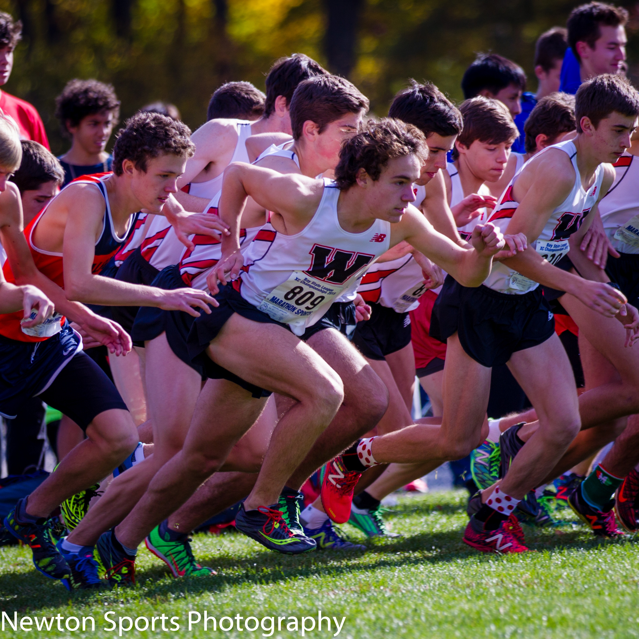 2015 Bay State Conference Championships